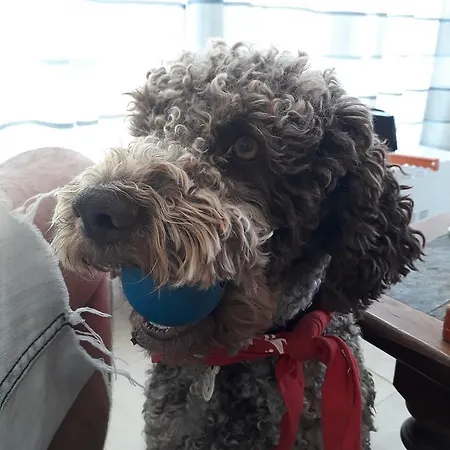 Les D'argentouleau База отдыха