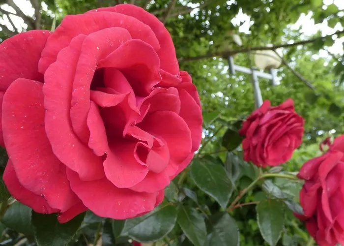 Les D'argentouleau Holiday park