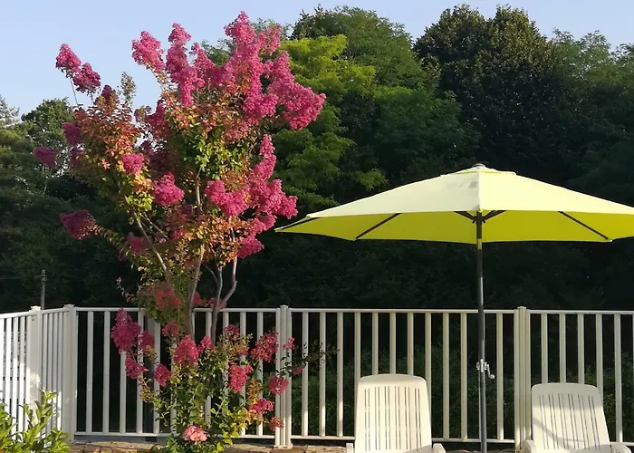 Les D'argentouleau Vakantiepark Sarlat-la-Canéda